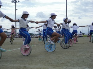 CIMG3135.jpg