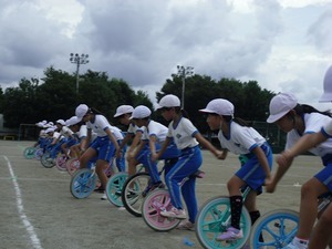 CIMG3137.jpg