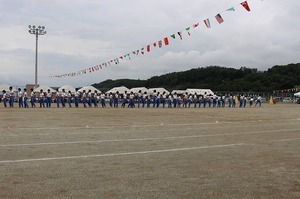 IMG_6729.jpg