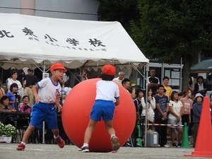DSCN2033.jpg