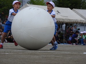 DSCN2034.jpg