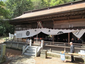 IMG_0299.jpg