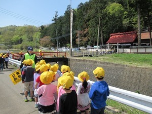 IMG_0295.jpg