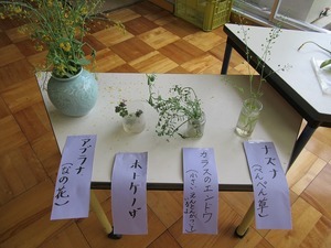 IMG_0402.jpg