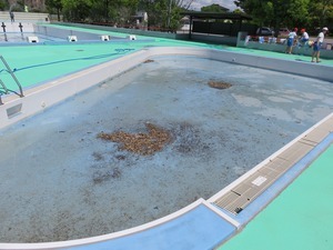 IMG_0874.jpg
