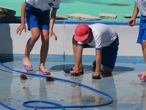 IMG_0881.jpg
