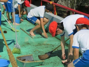 IMG_0892.jpg