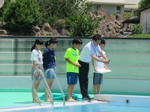 IMG_0985.jpg