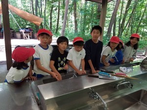 20180710_114802.jpg
