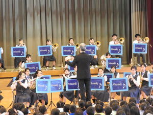 DSCN9608.JPG
