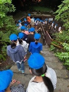 image5.jpeg
